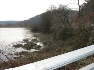 Überschwemmte Ruhrwiesen